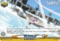 アイスグランド[VG_DZ-SS18/013TD]