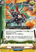 奥義 護国闘神剣の舞！[VG_DZ-TB01/117C]