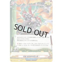 画像1: 奥義 護国闘神剣の舞！[VG_DZ-TB01/117C]