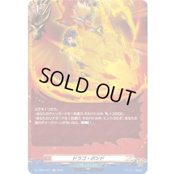 画像1: 【H仕様】ドラゴ・ボンド[VG_DZ-TB01/H21]