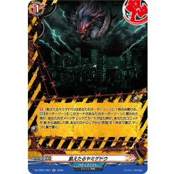 画像1: 【H仕様】飢えたるヤミゲドウ[VG_DZ-TB01/H27]