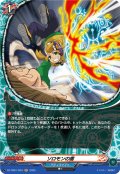 【H仕様】ソロモンの盾[VG_DZ-TB01/H34]
