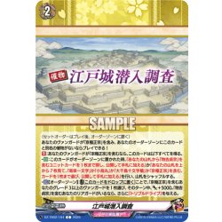 画像1: 江戸城潜入調査[VG_DZ-TB02/164C]