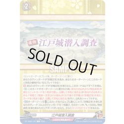 画像1: 江戸城潜入調査[VG_DZ-TB02/164C]