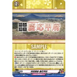 画像1: 特命調査 慶応甲府[VG_DZ-TB02/170C]
