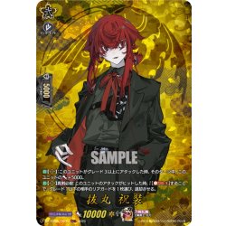 画像1: 【TRR仕様(C)】抜丸 祝装[VG_DZ-TB02/TRR73]
