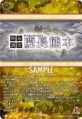 【TRR仕様(C)】特命調査 慶長熊本[VG_DZ-TB02/TRR161]