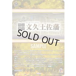 画像1: 【TRR仕様(C)】特命調査 文久土佐藩[VG_DZ-TB02/TRR162]