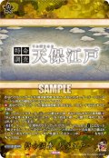 【TRR仕様(C)】特命調査 天保江戸[VG_DZ-TB02/TRR163]