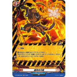 画像1: 【H仕様】闘気四方陣[VG_DZ-TB03/H04]