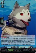義理堅き忠犬 コロマル[VG_DZ-TBP02/031RR]