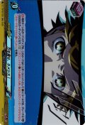 力を貸せ、ネメシス！[VG_DZ-TBP02/036RR]