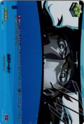 【PSC仕様】カストール！[VG_DZ-TBP02/PS105_PSC]
