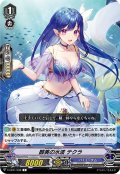 醇美の水波 テクラ[VG_V-EB11/038C]