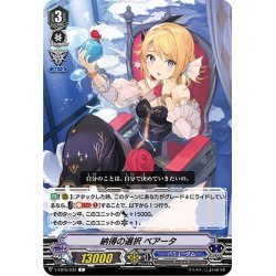 画像1: 納得の選択 ベアータ[VG_V-EB15/034C]