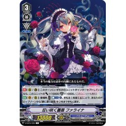 画像1: 狂い咲く薔薇 ファライナ[VG_V-EB15/035C]