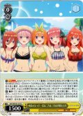 水着の五つ子 一花＆二乃＆三玖＆四葉＆五月[WS_5HY/W101-017C]