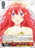 五等分の花嫁 中野 五月[WS_5HY/W83-065RR]