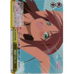画像1: 【RRR仕様】南国バカンス[WS_AGS/W108-029R]