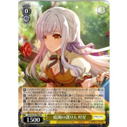 画像1: 庭園の護り人 叶星[WS_ALL/S127-P06_PR]