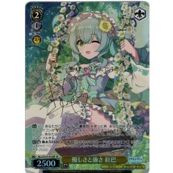 画像1: 【SP仕様(U)】優しさと強さ 紅巴[WS_ALL/S127-015_SP]