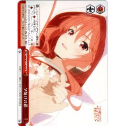 画像1: 夕焼けの猫[WS_AMG/W121-069CR]
