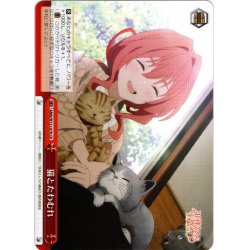 画像1: 猫とたわむれ[WS_AMG/W121-070CR]