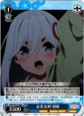 意思表明 朝姫[WS_AMG/W121-093C]
