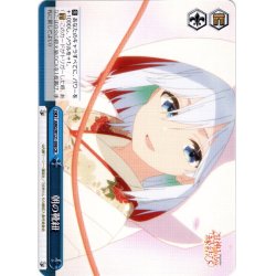 画像1: 朝の靴紐[WS_AMG/W121-098CR]