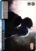 「妹」のままではいられない[WS_AMG/W121-099CR]