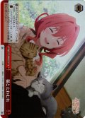【RRR仕様】猫とたわむれ[WS_AMG/W121-070R]