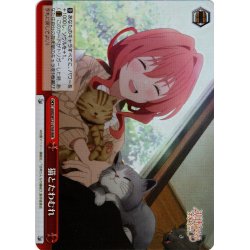 画像1: 【RRR仕様】猫とたわむれ[WS_AMG/W121-070R]