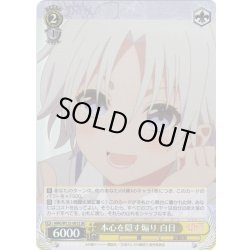 画像1: 【SR仕様(R)】本心を隠す煽り 白日[WS_AMG/W121-001S]
