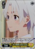 【SR仕様(C)】その視線の先は 白日[WS_AMG/W121-008S]
