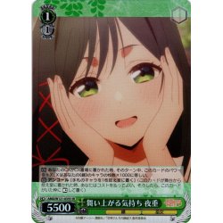 画像1: 【SR仕様(C)】舞い上がる気持ち 夜重[WS_AMG/W121-035S]