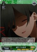 【SR仕様(C)】威圧する夜重[WS_AMG/W121-037S]