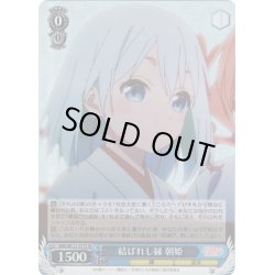 画像1: 【SR仕様(R)】結ばれし縁 朝姫[WS_AMG/W121-077S]