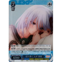 画像1: 【SR仕様(R)】揺れ動く天秤 朝姫[WS_AMG/W121-081S]