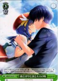 雨上がりと涙とキスの味[WS_ANM/W138-047U]