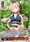 “クレオメが咲き誇るこの場所で”陽彩[WS_ANM/W138-052RR]