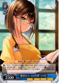 “駅舎カフェでの仕事”つづら[WS_ANM/W138-092C]