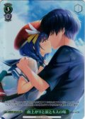 【SR星1】雨上がりと涙とキスの味[WS_ANM/W138-047S]