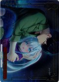 【RRR仕様】母の愛は風に乗って[WS_ANM/W138-076R]