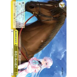画像1: 茶色い馬の迎え [WS_ANM/W138-T09TD]