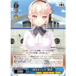 画像1: “淡雪ポイント”陽彩 [WS_ANM/W138-T16TD]