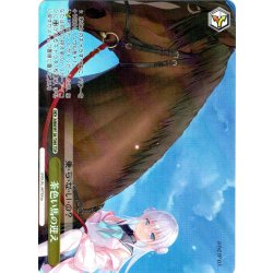 画像1: 【TDP仕様】茶色い馬の迎え [WS_ANM/W138-T09S]