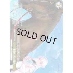 画像1: 【TDP仕様】茶色い馬の迎え [WS_ANM/W138-T09S]