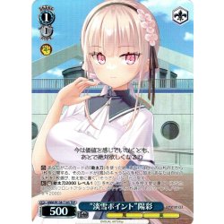 画像1: 【TDP仕様】“淡雪ポイント”陽彩 [WS_ANM/W138-T16S]