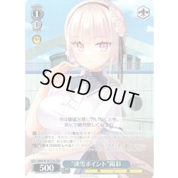 画像1: 【TDP仕様】“淡雪ポイント”陽彩 [WS_ANM/W138-T16S]