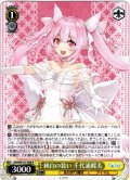 純白の装い 千代浦蝶美[WS_AOH/W127-006R]